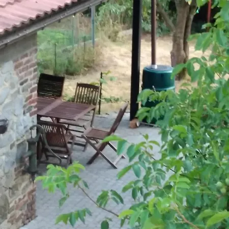 D'hildegarde