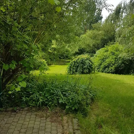 D'hildegarde With Sauna Prázdninový dům Fallais